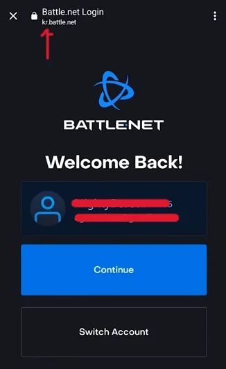 Battle.NET login error