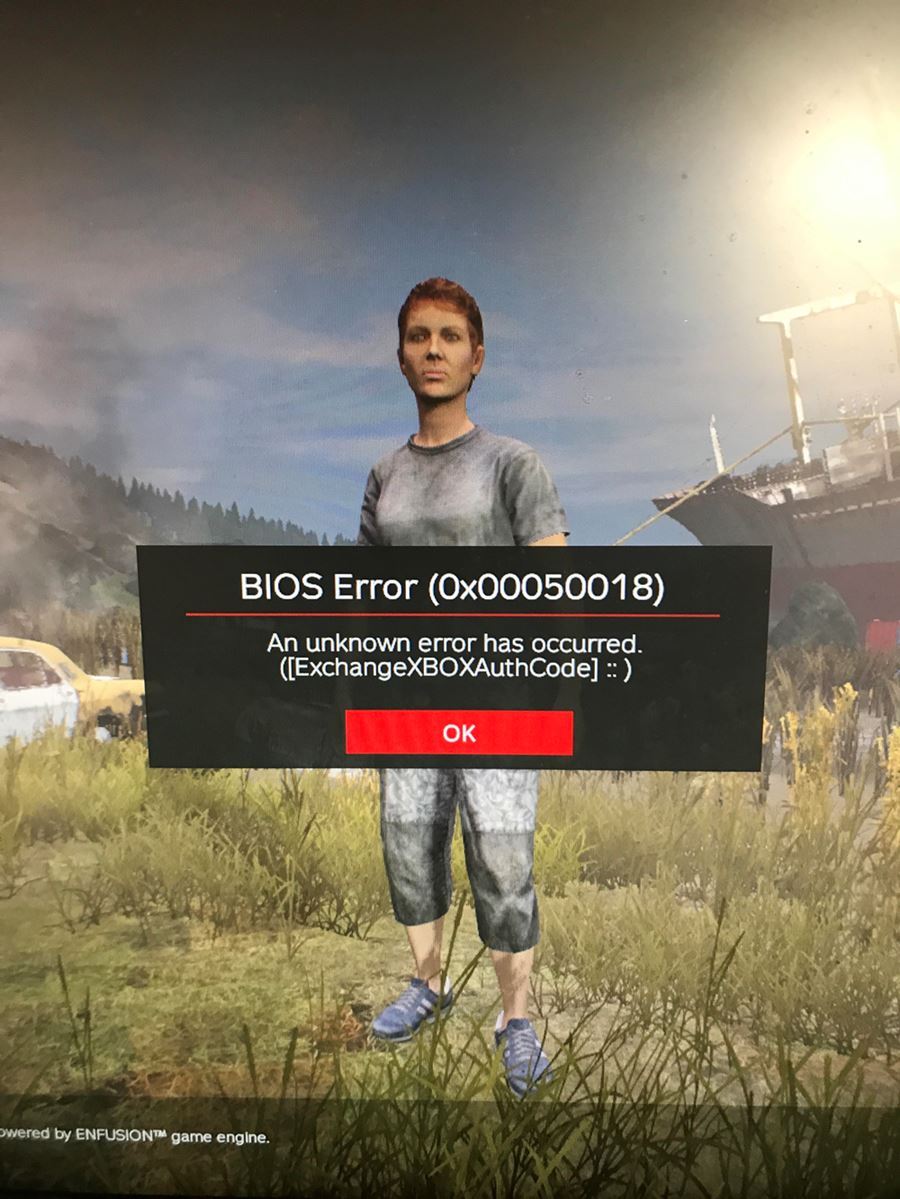 error code Bios Dayz