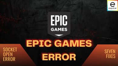 Socket Error in Epic Games