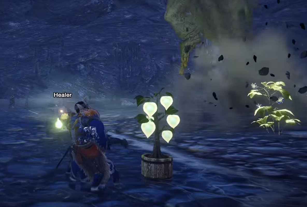 level 1 move of Healer type support Palico in Monster Hunter Rise