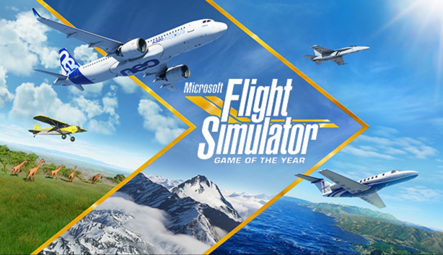 Flight Game VR Best Most Immersive