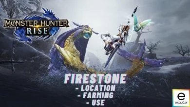 Monster Hunter Rise Firestone