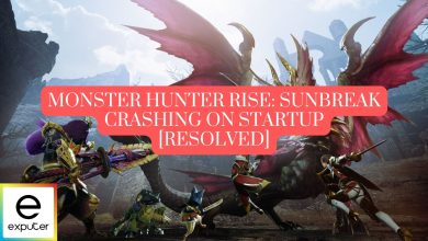 Monster Hunter Rise Sunbreak crashing on startup
