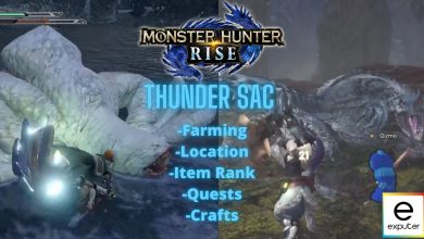 thunder sac guide