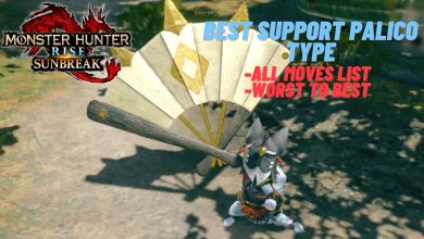 Best Support Type Palico in Monster Hunter Rise.