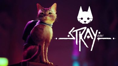 Stray Becomes #3 Steam Weekly Global Top Seller Before Release