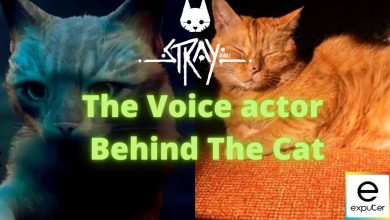 stray voice actor