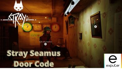 Stray Seamus Door Code ft image