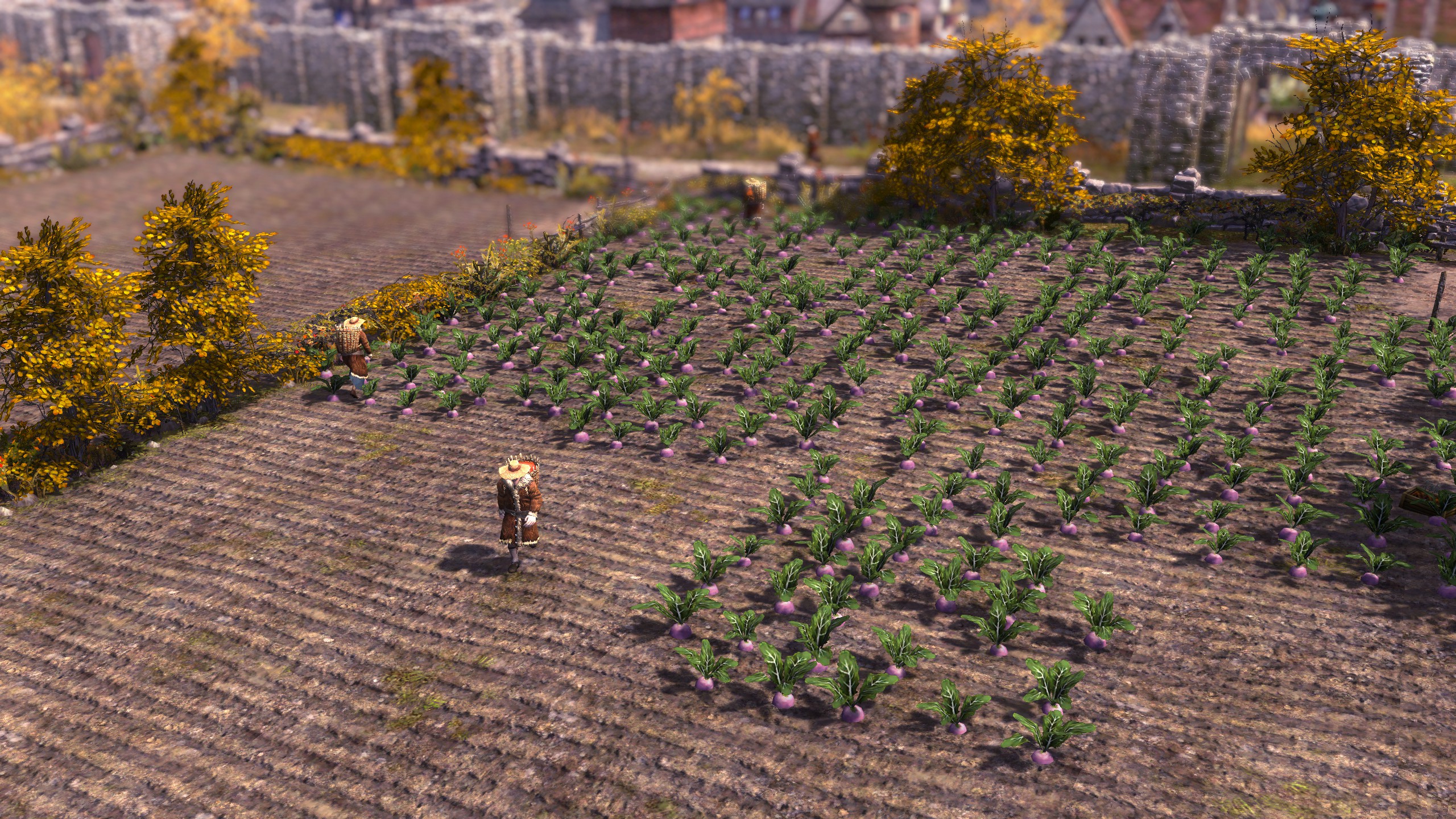 construcing farms is an important Farthest Frontier Tips and Tricks