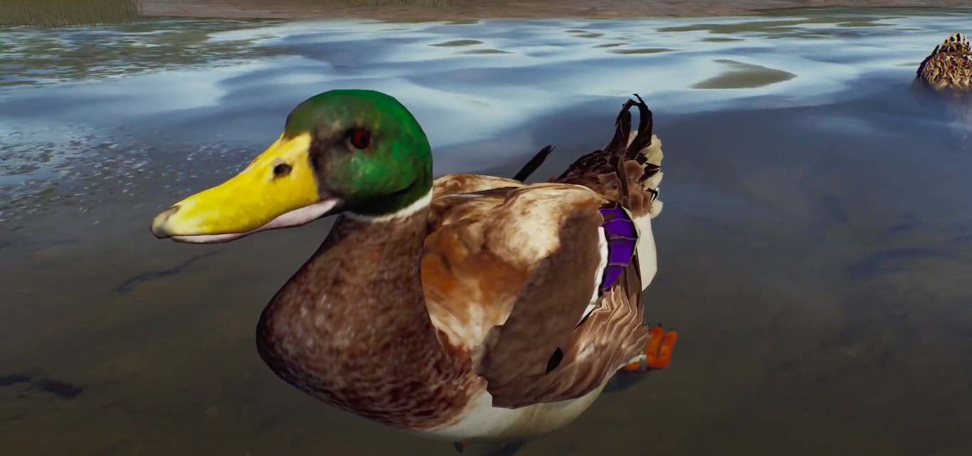Way of The Hunter Closeup of Duck