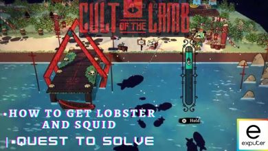 How To Catch Lobster And Squid In Cult Of The Lamb