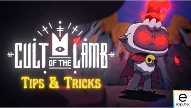 best beginner tips and tricks for cult of the lamb