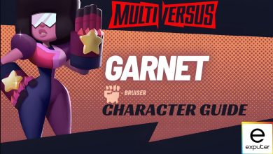 Guide for Garnet