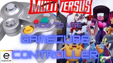 GameCube Controller to play Multiversus
