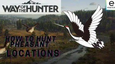 Way of the Hunter: How To Make Money - Cultured Vultures