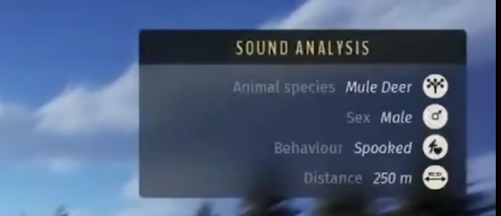 Analysis of Sound