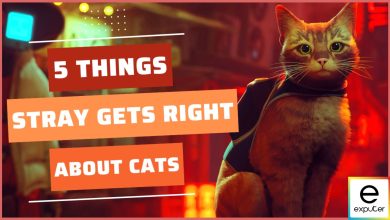 The things that the game Stray gets right about cats