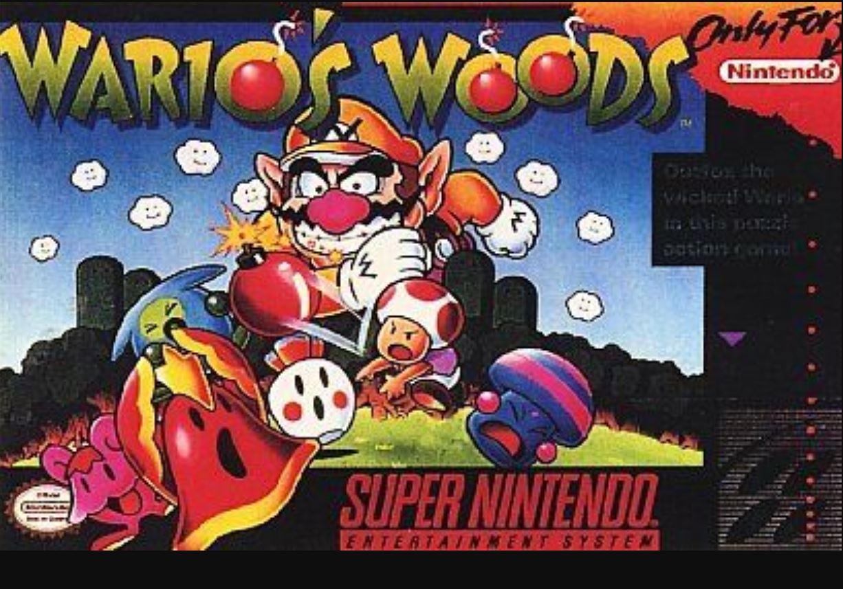 Wario game protagonist Nintendo main character game villain