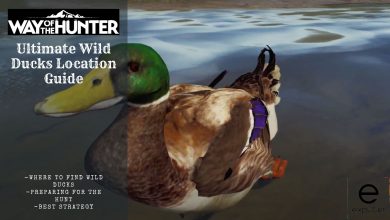 The Ultimate Way of The Hunter Wild Ducks Locations