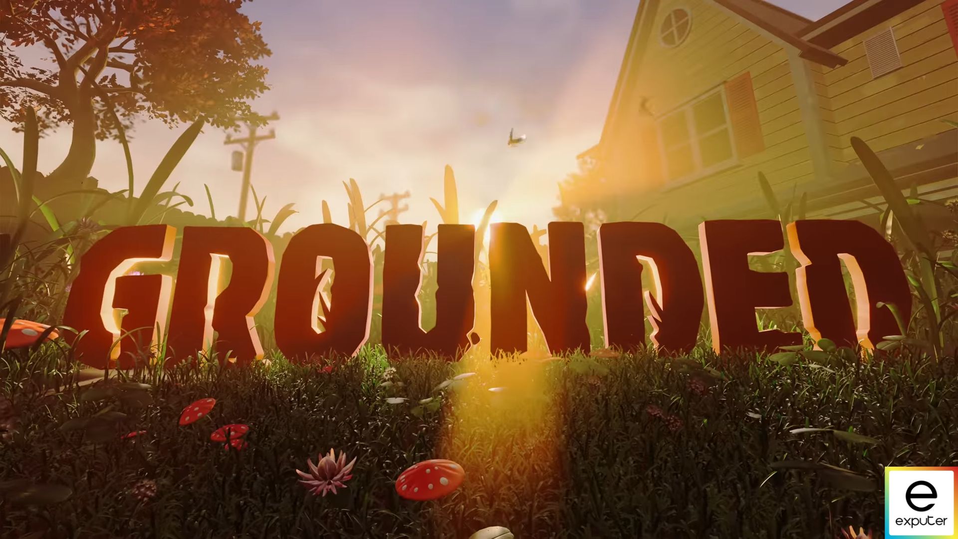 Review of Grounded