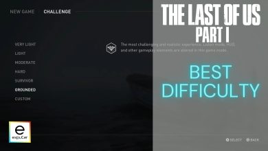 Best Difficulty In Last Of Us Part 1