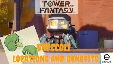 Broccoli in Tower of Fantasy