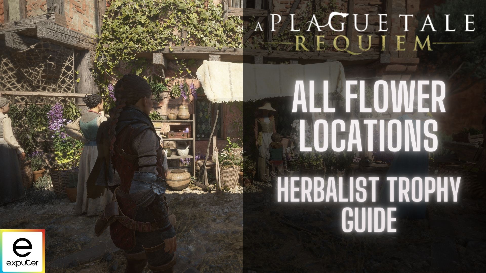 all 5 flowers in a plague tale requiem