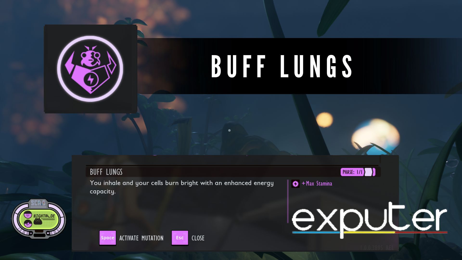 Buff Lungs
