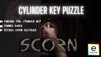 Key Puzzle In Scorn
