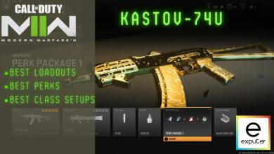 Modern Warfare Beat Loadouts For Kastov-74U