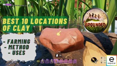 10 BEST Clay Locations in Grounded