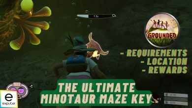 Minotaur Maze Key in Grounded