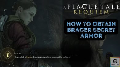 Secret Bracer armor A Plague Tale