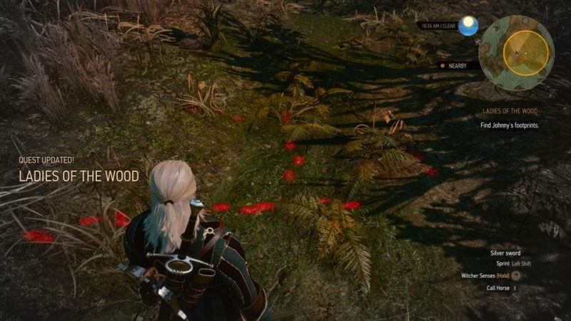 The highlighted footprints in Witcher 3.