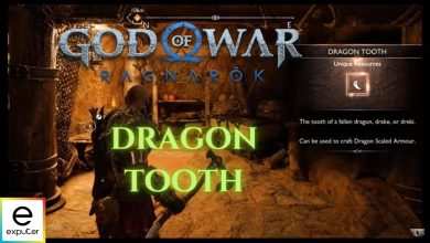 God Of War Ragnarok Dragon Tooth