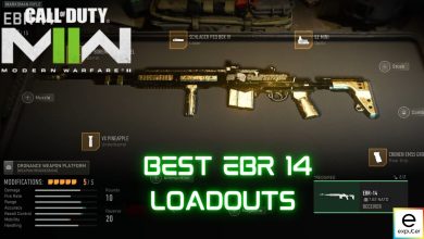 Best EBR 14 Loadouts in Modern Warfare 2
