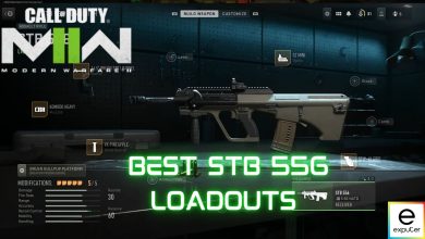 loadouts of STB 556