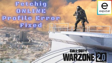 How to fix Fetching online profile error in cod warzone 2.0