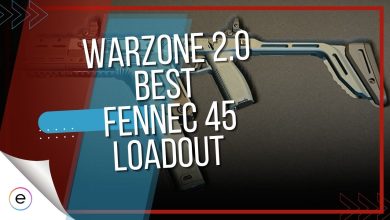 Fennec 45 best loadouts