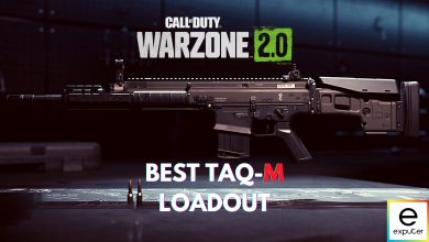 Best TAQ-M Loadout COD Warzone 2.0