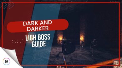 Guide for Lich Bossfight