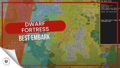 guide on best embark setup for dwarf fortress