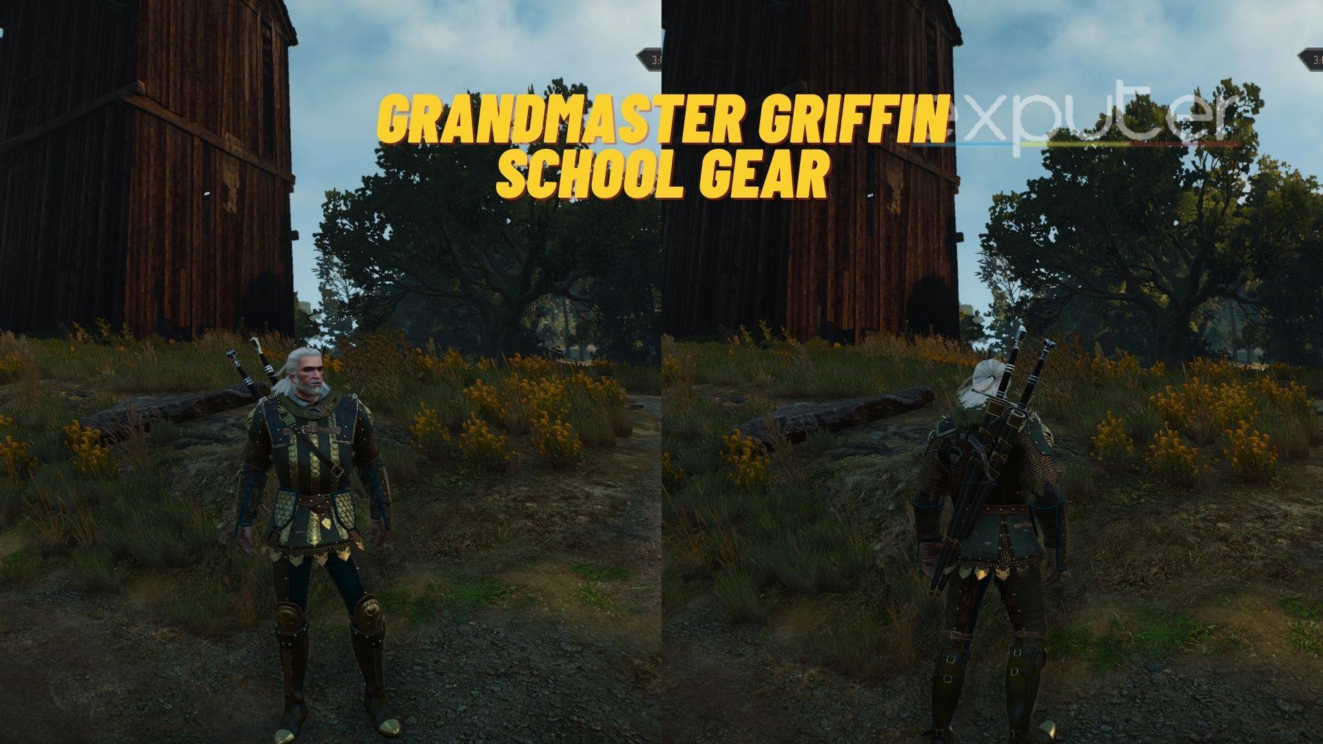 Grandmaster Griffin School Gear in Witcher 3.