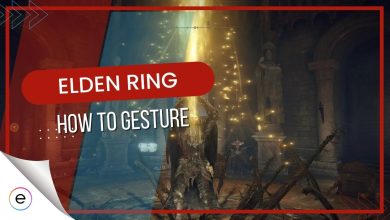 How To Gesture In Elden Ring