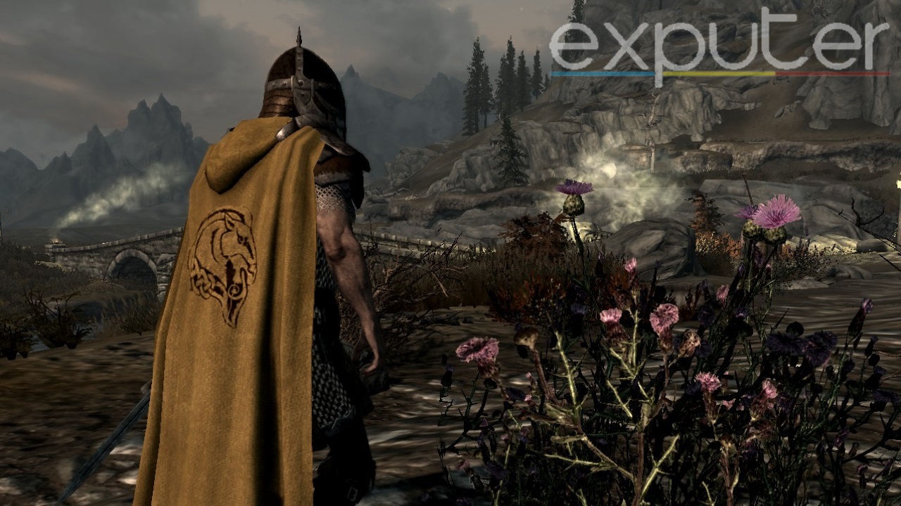 Immersive Weapons mod in Skyrim.