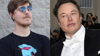 MrBeast and Elon Musk
