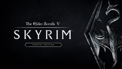 The Elder Scrolls V: Skyrim Special Edition.
