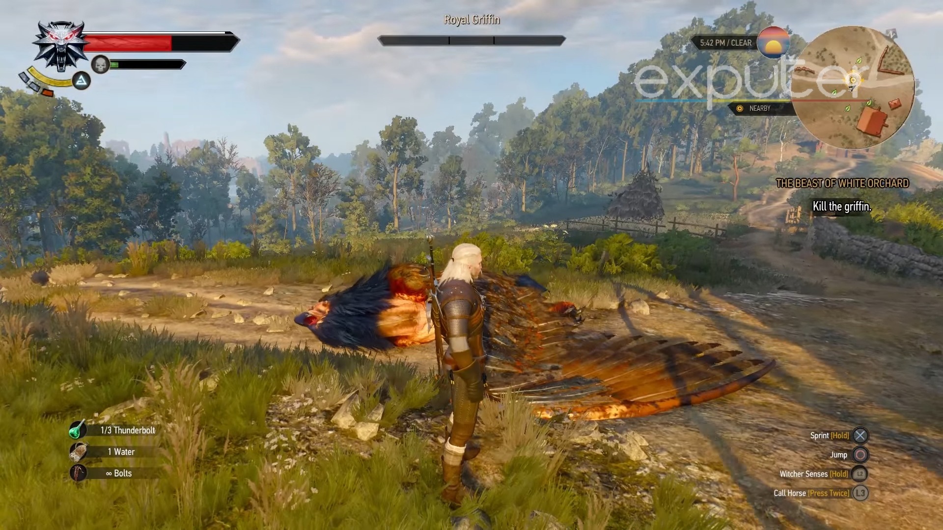 Witcher 3: Take The Coin? Griffin of White Orchard