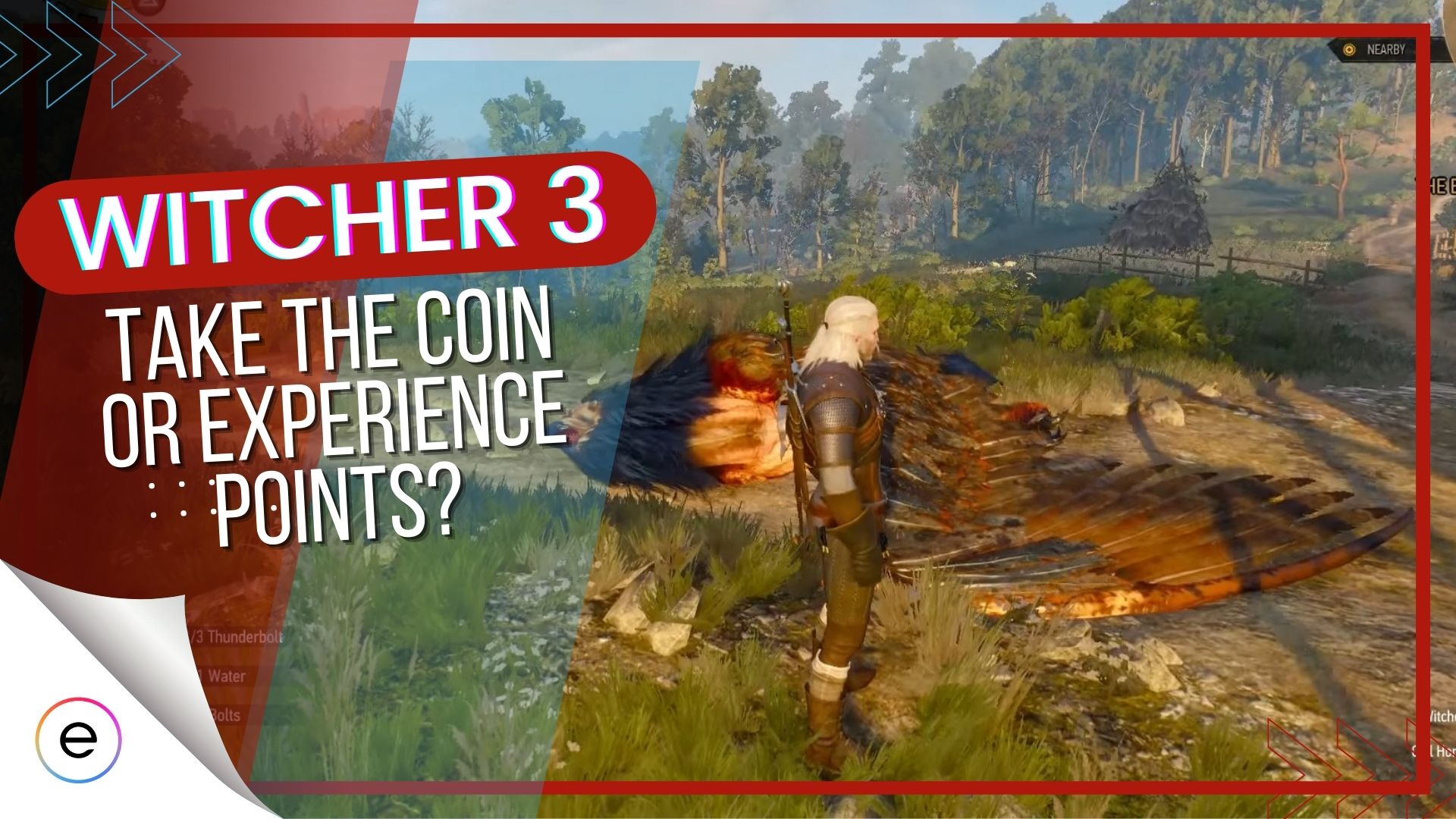 Taking the Coin in Witcher 3