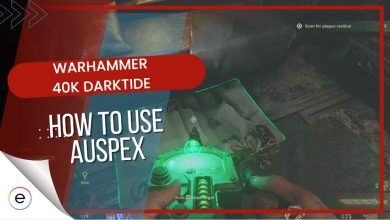 How to use Auspex